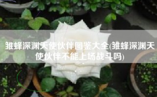 雏蜂深渊天使伙伴图鉴大全(雏蜂深渊天使伙伴不能上场战斗吗)