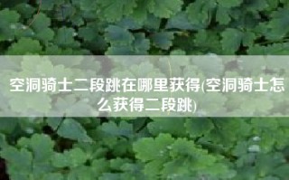 空洞骑士二段跳在哪里获得(空洞骑士怎么获得二段跳)