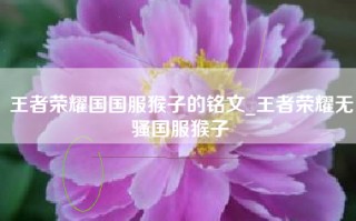 王者荣耀国国服猴子的铭文_王者荣耀无骚国服猴子