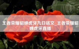 王者荣耀貂蝉虎牙九日铭文_王者荣耀貂蝉虎牙直播