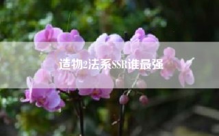造物2法系SSR谁最强
