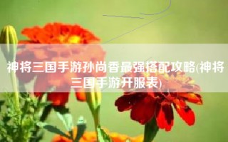 神将三国手游孙尚香最强搭配攻略(神将三国手游开服表)
