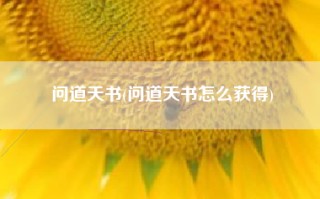 问道天书(问道天书怎么获得)