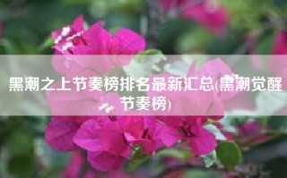 黑潮之上节奏榜排名最新汇总(黑潮觉醒节奏榜)