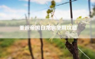 重返帝国白龙驹使用攻略