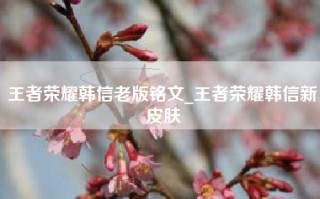 王者荣耀韩信老版铭文_王者荣耀韩信新皮肤