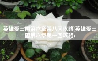英雄爱三国第六章第八回攻略(英雄爱三国第六章第一回攻略)