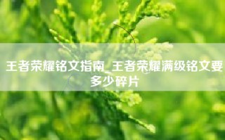 王者荣耀铭文指南_王者荣耀满级铭文要多少碎片