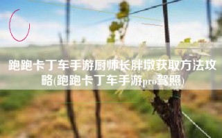 跑跑卡丁车手游厨师长胖墩获取方法攻略(跑跑卡丁车手游pro驾照)