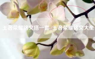 王者荣耀铭文搭一套_王者荣耀铭文大全