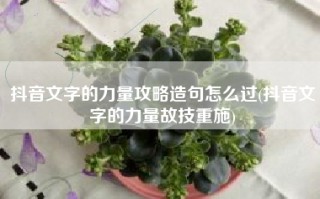 抖音文字的力量攻略造句怎么过(抖音文字的力量故技重施)