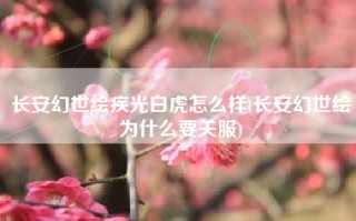 长安幻世绘疾光白虎怎么样(长安幻世绘为什么要关服)