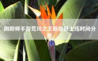 阴阳师手游荒川之主新皮肤上线时间分析