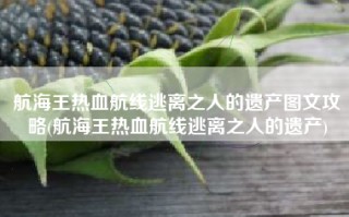 航海王热血航线逃离之人的遗产图文攻略(航海王热血航线逃离之人的遗产)