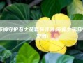 原神守护者之花套装评测(原神之璃月守护者)