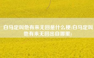 白马定叫他有来无回是什么梗(白马定叫他有来无回出自哪里)