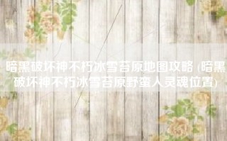 暗黑破坏神不朽冰雪苔原地图攻略 (暗黑破坏神不朽冰雪苔原野蛮人灵魂位置)
