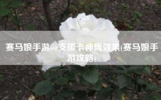 赛马娘手游ssr支援卡神鹰效果(赛马娘手游攻略)