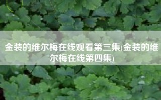 金装的维尔梅在线观看第三集(金装的维尔梅在线第四集)
