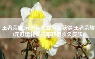 王者荣耀1元好运礼盒怎么获得(王者荣耀1元好运礼盒几率获得永久皮肤)