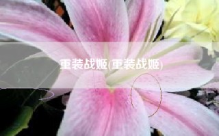 重装战姬(重装战姬)
