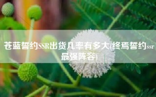 苍蓝誓约SSR出货几率有多大(终焉誓约ssr最强阵容)