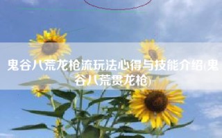 鬼谷八荒龙枪流玩法心得与技能介绍(鬼谷八荒贯龙枪)