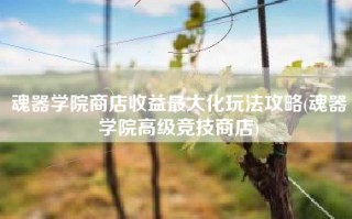 魂器学院商店收益最大化玩法攻略(魂器学院高级竞技商店)