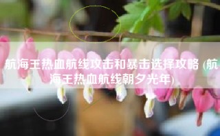 航海王热血航线攻击和暴击选择攻略 (航海王热血航线朝夕光年)