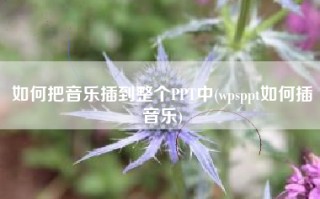 如何把音乐插到整个PPT中(wpsppt如何插音乐)