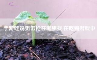 手游吃鸡狙击枪在哪里找,在吃鸡游戏中