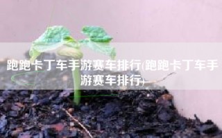 跑跑卡丁车手游赛车排行(跑跑卡丁车手游赛车排行)