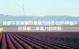 神都不良探第二章第九回怎么过(神都不良探第二章第八回攻略)