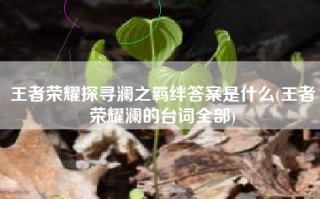 王者荣耀探寻澜之羁绊答案是什么(王者荣耀澜的台词全部)