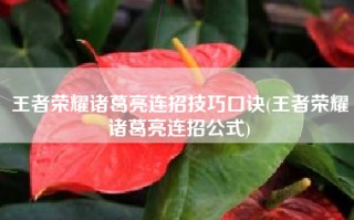 王者荣耀诸葛亮连招技巧口诀(王者荣耀诸葛亮连招公式)
