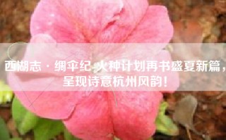 西湖志·绸伞纪-火种计划再书盛夏新篇，呈现诗意杭州风韵！