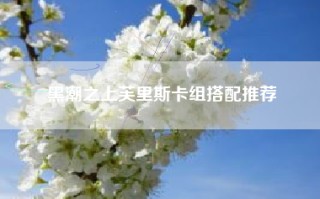 黑潮之上芙里斯卡组搭配推荐