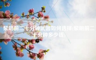 黎明前二十分钟武器如何选择(黎明前二十分钟多少钱)