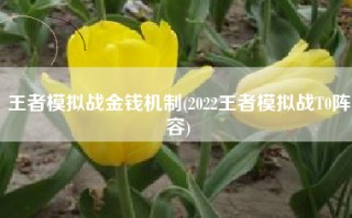 王者模拟战金钱机制(2022王者模拟战T0阵容)