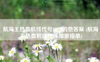 航海王热血航线代号MR.0的他答案 (航海王热血航线代练哪里接单)