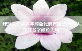 球球大作战名字颜色代码有哪些(球球大作战名字颜色代码)