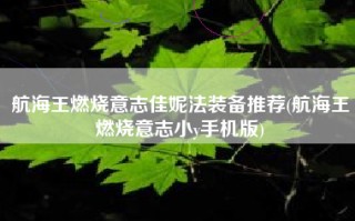 航海王燃烧意志佳妮法装备推荐(航海王燃烧意志小y手机版)