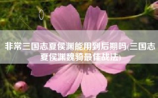 非常三国志夏侯渊能用到后期吗(三国志夏侯渊魏骑最佳战法)