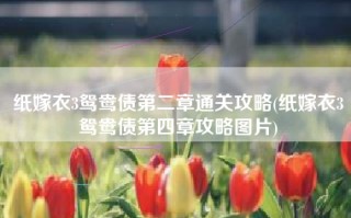 纸嫁衣3鸳鸯债第二章通关攻略(纸嫁衣3鸳鸯债第四章攻略图片)