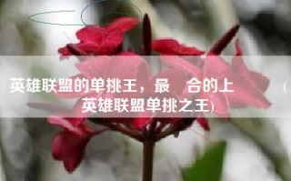 英雄联盟的单挑王，最適合的上單選擇(英雄联盟单挑之王)