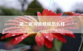 第二银河苦修级怎么样