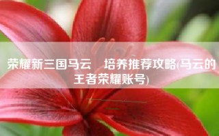 荣耀新三国马云騄培养推荐攻略(马云的王者荣耀账号)