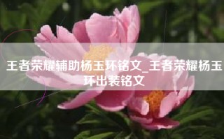 王者荣耀辅助杨玉环铭文_王者荣耀杨玉环出装铭文