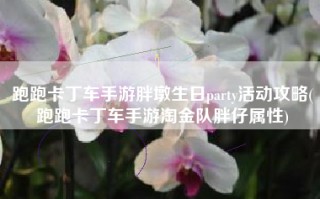 跑跑卡丁车手游胖墩生日party活动攻略(跑跑卡丁车手游淘金队胖仔属性)
