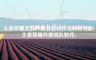 王者荣耀五五开黑节活动什么时候开始(王者荣耀开黑组队软件)